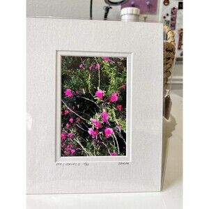 Original Photography 5X7 Picture Double Matted For 8X10 Frame